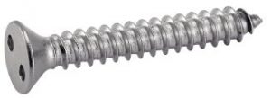 VIS A TOLE TETE FRAISEE INVIOLABLE SNAKE EYES TYPE DIN 7982 INOX A2